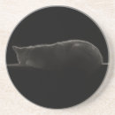 Suche nach katzenliebhaber untersetzer Jede person