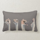 Suche nach strauß kissen Spaß