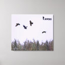 Suche nach uhr leinwandbilder Tiere