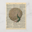 Suche nach vintager pfau postkarten Vogel