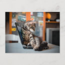 Suche nach kitesurfen postkarten Katze