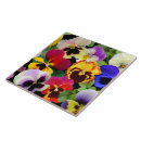 Suche nach pansy fliesen Stiefmütterchen