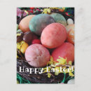 Suche nach bunte eier postkarten Jede person
