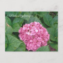Suche nach hydrangea postkarten Für sie