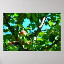Suche nach apfelgarten kunst Äpfel