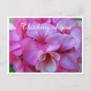 Suche nach geranium postkarten Natur
