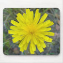 Suche nach gelbe wildblumen mousepads Jede person