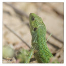 Suche nach eidechse fliesen Drache