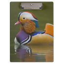 Suche nach reflexion klemmbrett Schwimmbad