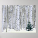 Suche nach aspen poster Grün