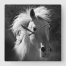 Suche nach horse andere Western