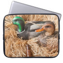Suche nach wir ziehen um elektronik zubehör Mallard