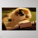 Suche nach gelehrter poster Uni