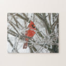 Suche nach kardinal puzzle Schnee