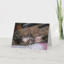 Suche nach standard karten Für alle