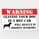 Suche nach mit auto banner Jede person