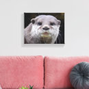 Suche nach otter leinwandbilder Tierwelt