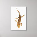 Suche nach gecko leinwandbilder Reptilien