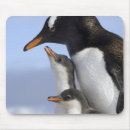 Suche nach halbinsel mousepads Niemand