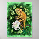Suche nach chameleon poster Grün