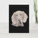 Suche nach weimaraner hund karten Tier