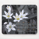 Suche nach weiße wildblumen mousepads Blumenfotografie