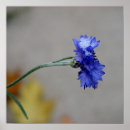 Suche nach winterlicher poster Kalt