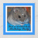 Suche nach lustiger hamster einladungen Niedlich
