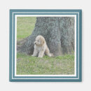 Suche nach türkis und weiß magnete Jede person