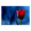 Suche nach dunkelblauer hintergrund poster Blume