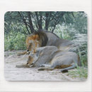 Suche nach männlicher löwe mousepads Horizontal