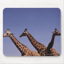 Suche nach lebende elektronik zubehör Giraffe