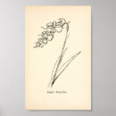 Suche nach teapot poster Blume