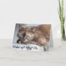 Suche nach wecker karten Katze