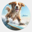 Suche nach hunde sport aufkleber Für alle