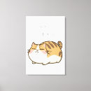 Suche nach funny leinwandbilder Katze