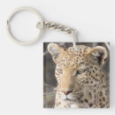 Suche nach portrait schlüsselanhänger Safari