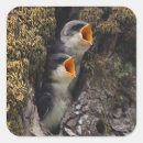 Suche nach tierkörperteil aufkleber Tierthemen
