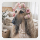 Suche nach der windhund aufkleber Für alle