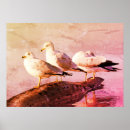 Suche nach möwen poster Natur