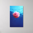 Suche nach wirbellos leinwandbilder Biologie