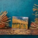 Suche nach insel fotoplatten Wald