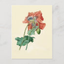 Suche nach redouté postkarten Blume