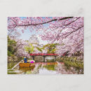 Suche nach japanische malerei postkarten Sakura