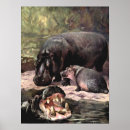 Suche nach hippopotamus poster Hippie