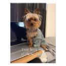 Suche nach yorkshire terrier poster Lustig