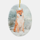 Suche nach shiba inu ornamente Hund