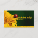 Suche nach käfer visitenkarten Jede person