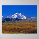 Suche nach alaska poster Farbenfroh