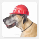 Suche nach great dane aufkleber Spaß